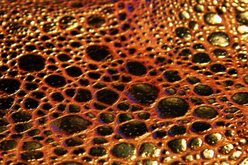 Лягушачья кожа