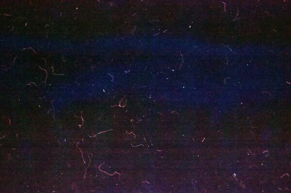 ВХС фильтр глитч