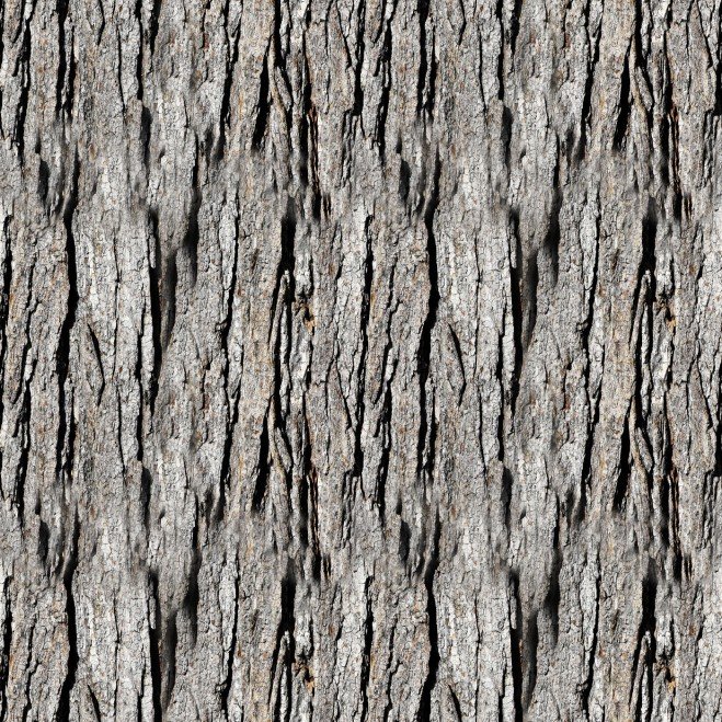 Zbrush Alpha кора дерева