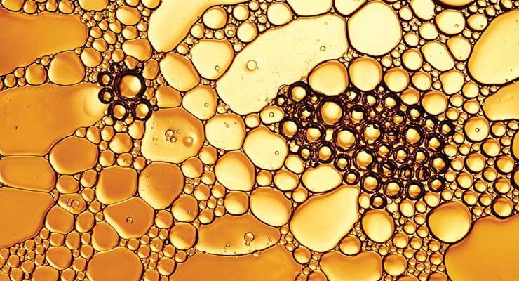 Липиды под микроскопом