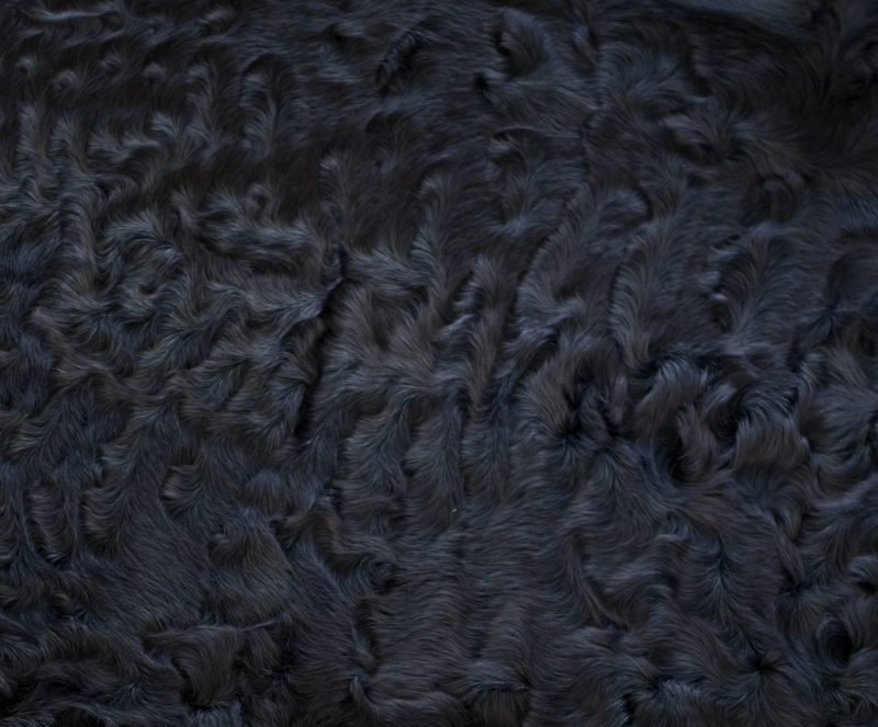 Каракуль шкурки