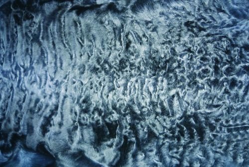 Каракуль шкура