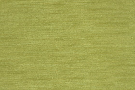 Оливковая ткань текстура