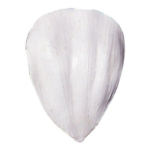 Лепесток тюльпана