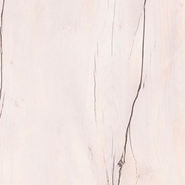 Таксония белая ЛДСП