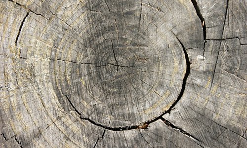 Текстура пенька