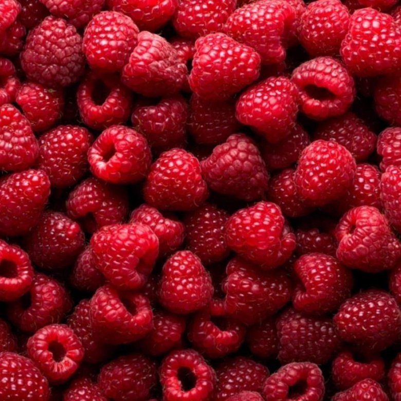 Красивые ягоды