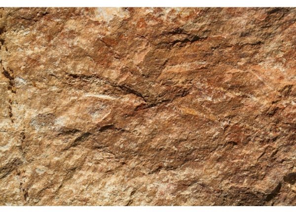 песчаника массивная