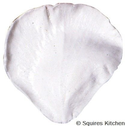 Текстура цветка лепестка