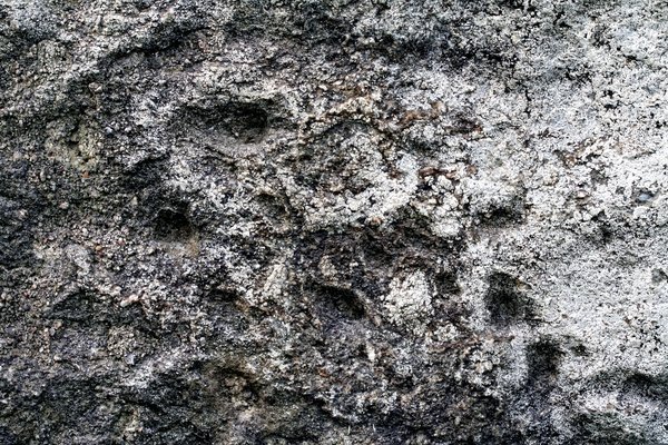 Оолитовая текстура