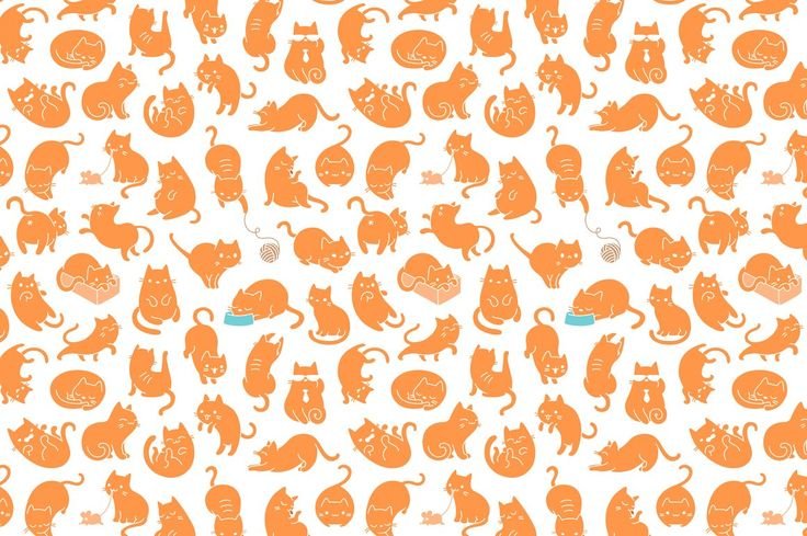 Паттерн котики