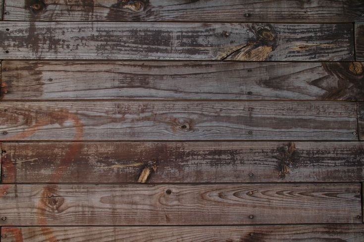 Фактура дерева