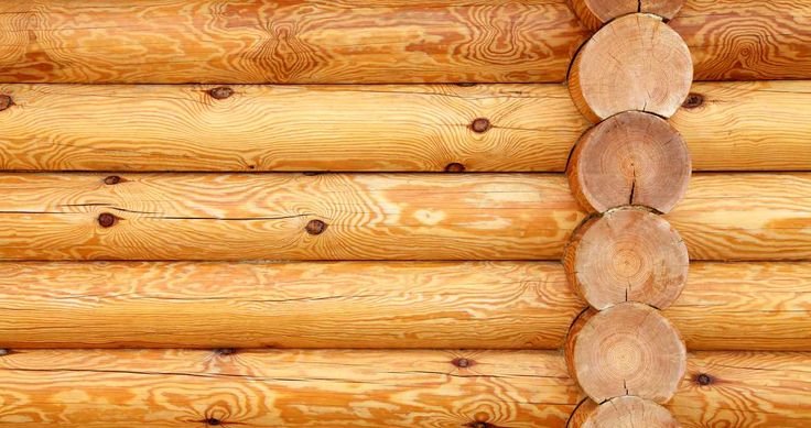 Текстура сруба дерева