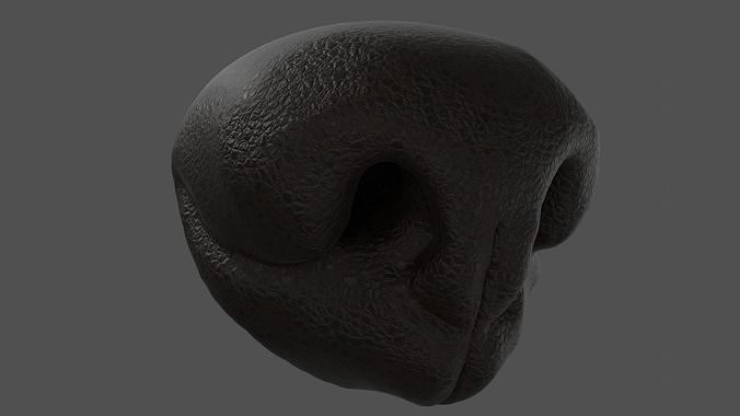 Нос 3д модель