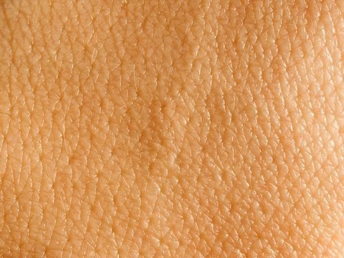 Кожа человека