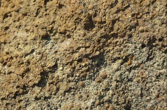 Оолитовая текстура