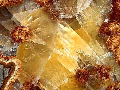 Янтарь камень в разрезе