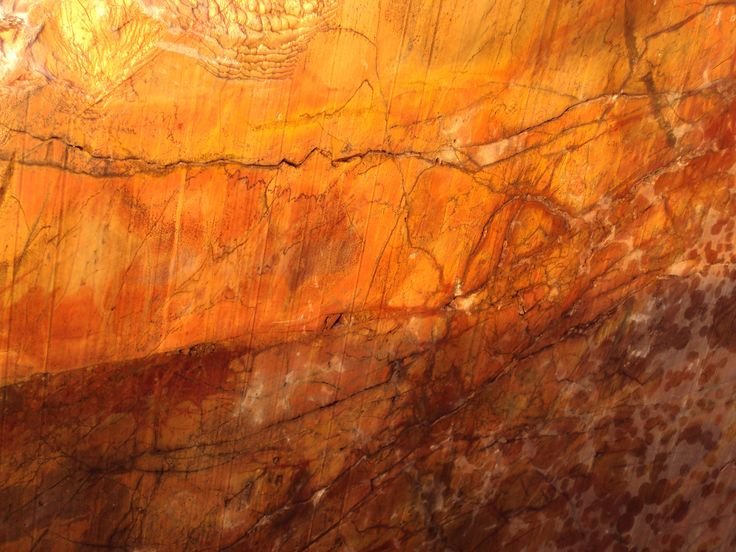 Срез янтаря