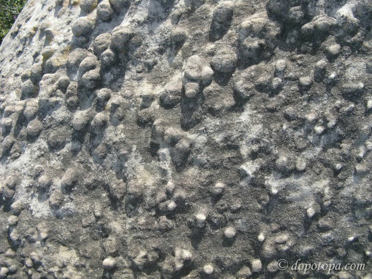 Оолитовая структура