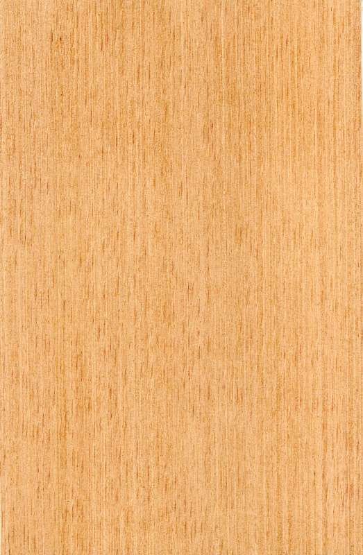 Анегри дерево