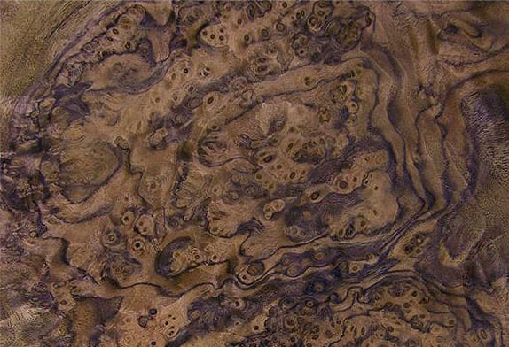 Шпон корень ореха