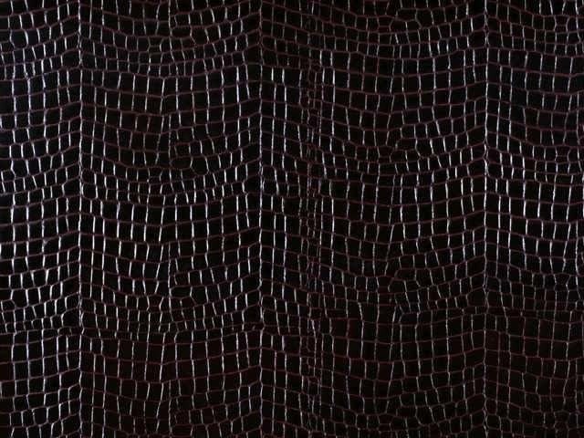 Черная змеиная кожа