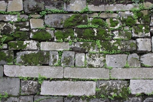 Каменная стена