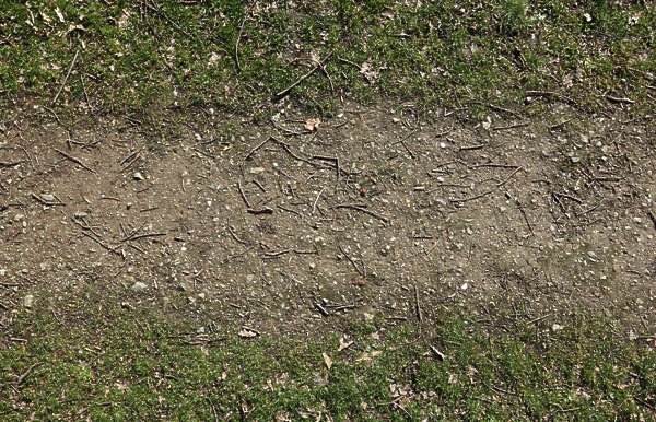 Текстура грунтовой дороги бесшовная