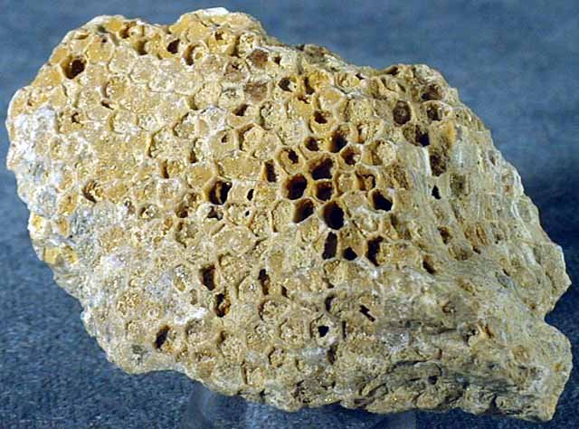 Оолитовый известняк