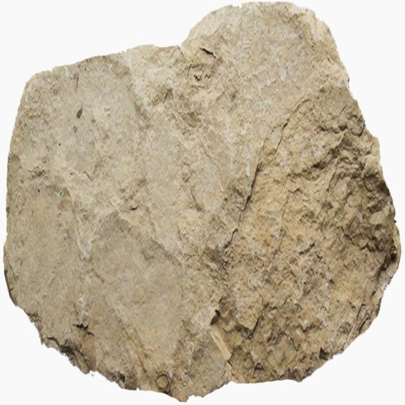 Кикеринский известняк