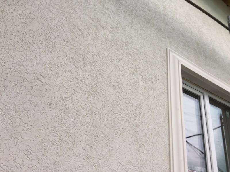 Ceresit ct35 короед