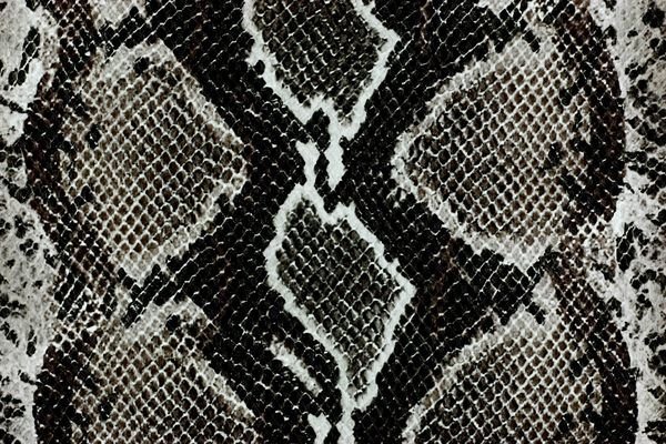 Питон змея кожа