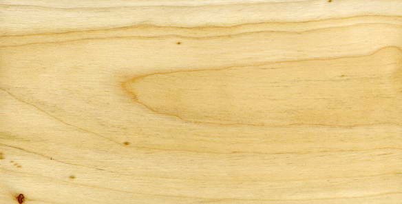 Осина структура древесины