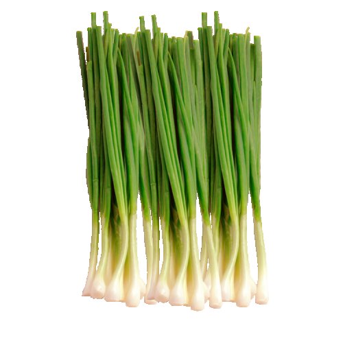 Лук зеленый