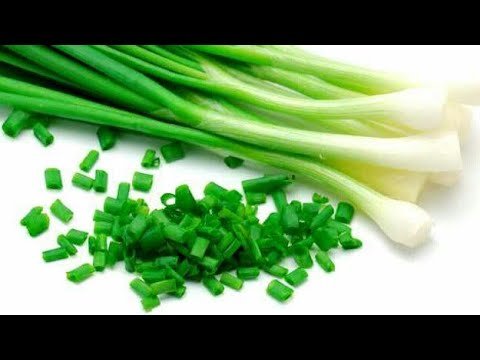 Зеленый лук на белом фоне