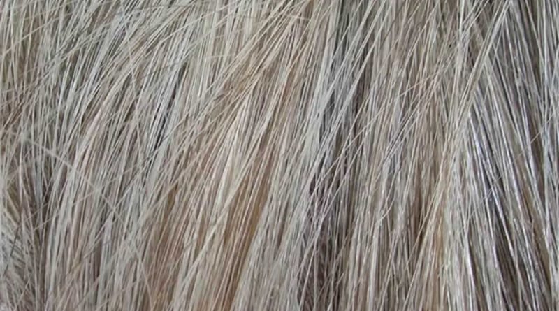 Текстура волос