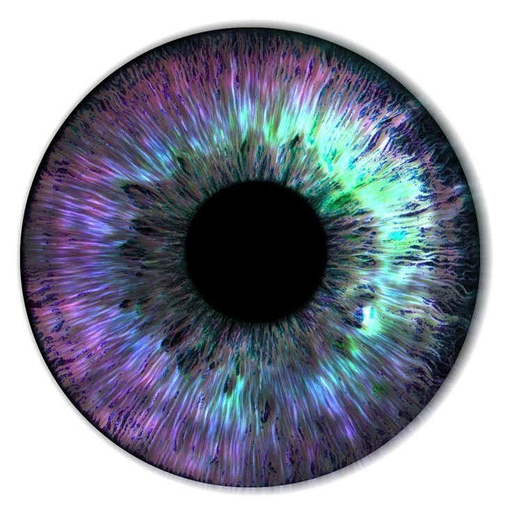 Радужка глаза