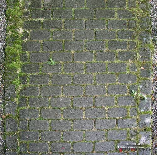 Текстура дороги