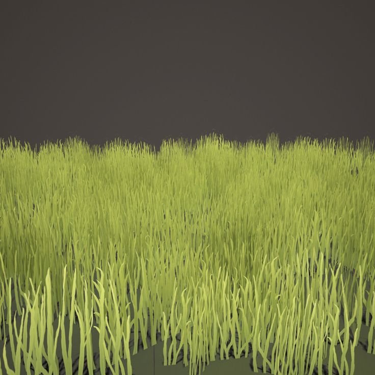 3d Low Poly grass