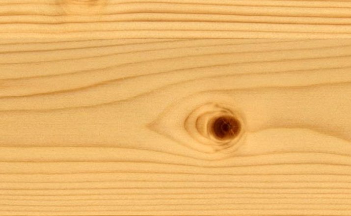 ель древесины