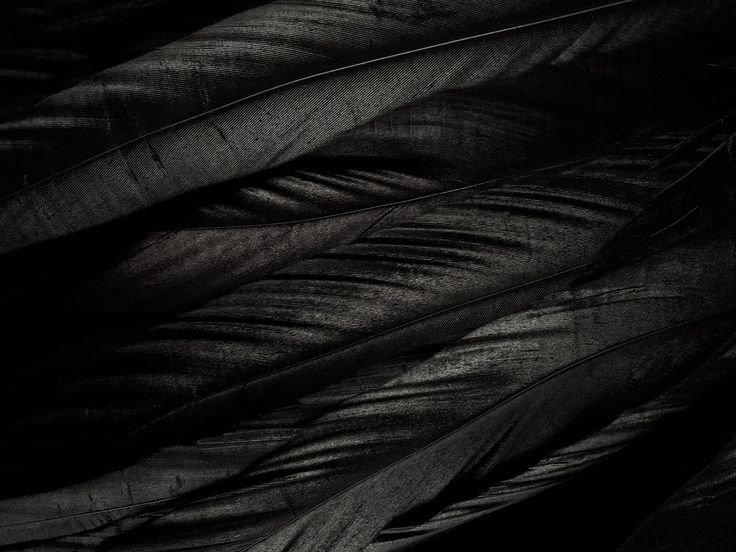 Черные перья