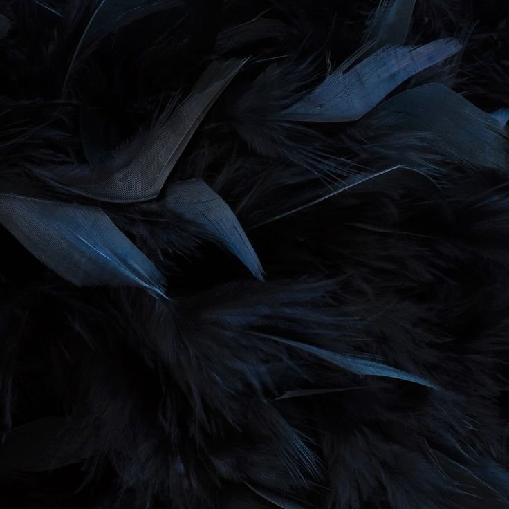 Черные перья