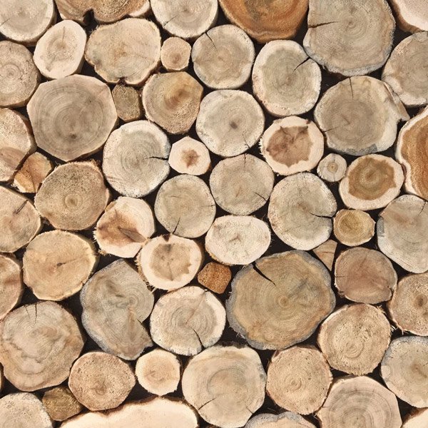 Деревянный спил