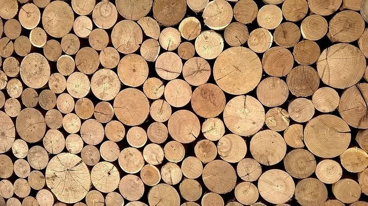 Оцилиндрованное бревно текстура