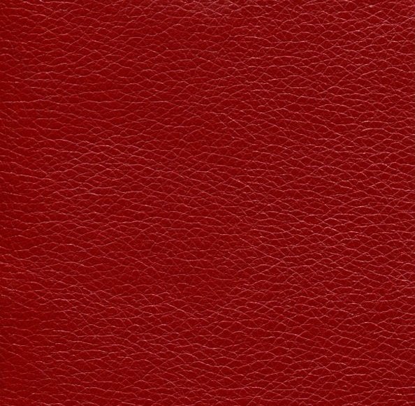 Фактура кожи