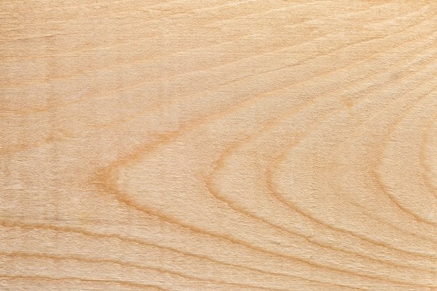 Текстура древесины