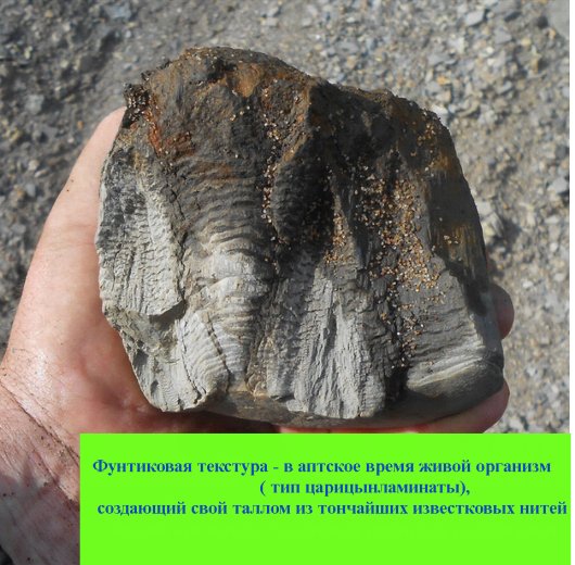 Фунтиковая структура