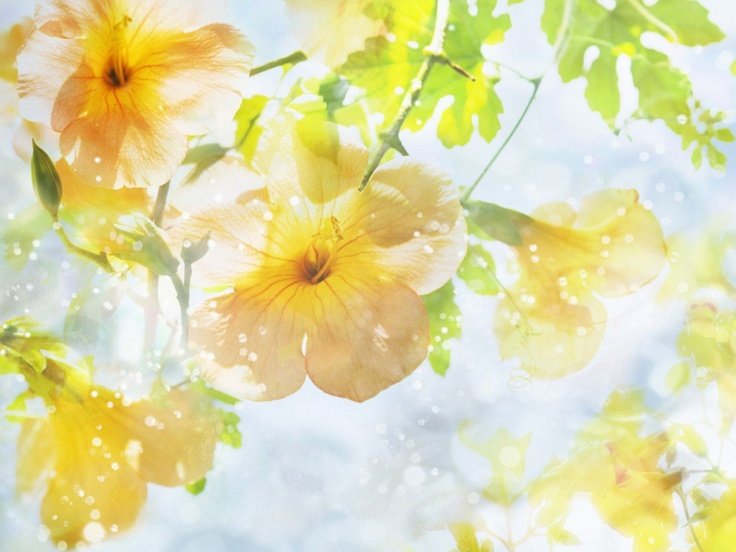 Весенний фон