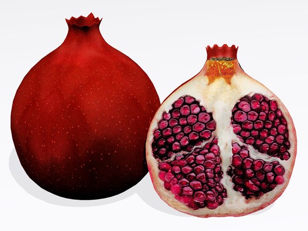 Гранат Pomegranate 3д