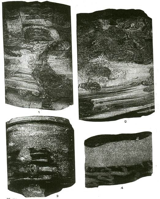Текстуры осадочных пород в керне